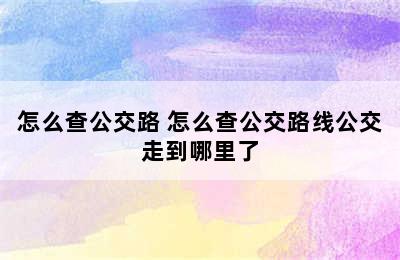 怎么查公交路 怎么查公交路线公交走到哪里了